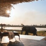 Eagle Island Lodge enjoys numerous visits from these giant pachyderms