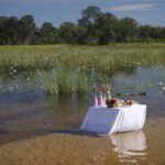 Xaranna Camp delights guests with surprise sundowners in the wild