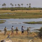 Your professional walking guide at Sandibe interprets the tracks and signs of the African bush