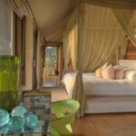 The tented rooms at Xaranna enjoy fantastic views over the Delta
