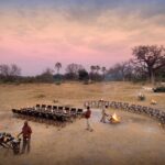 A starlit dinner under open skies is a highlight at Sandibe camp