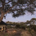 Barclay Stenner's mobile tents are situated in exclusive wilderness areas