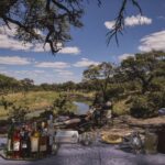 High tea in the bush with Barclay Stenner Safaris