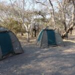Tents set up by guests - semi participation safari with Bush Ways