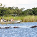Camp Moremi offers guests motorized boating excursions
