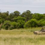Camo Moremi offers a fantastic all -round game viewing experience