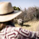 Endangered black rhino as see by guests at Chiefs Camp