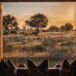 Grass plains as seen from the lounge at Chitabe Camp