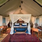 Beautifully appointed guest tent at Duba Explorers camp