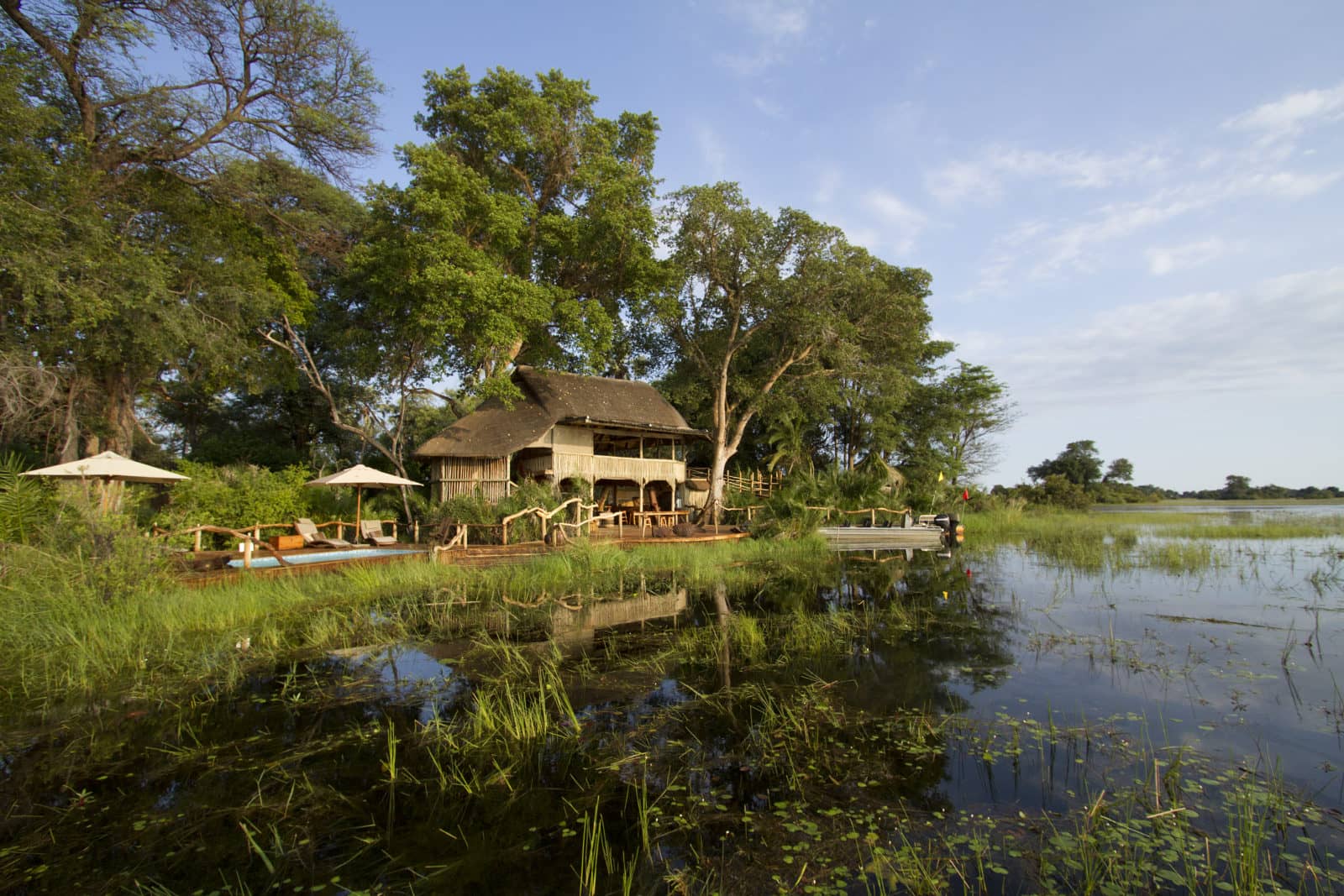 River view of Jacana Camp surrounded by trees