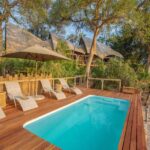 Clear blue swimming pool at Jacana Camp