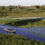 Kwetsani Camp offers boating and mokoro activities during the flood season