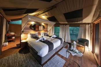 Guest tent interior at Mma Dinare Camp