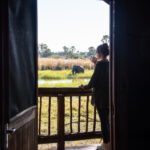 Guest standing on a wooden deck with coffee, watching an elephant near the water at Moremi Crossing.