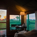 Sunrise seen from inside a safari tent overlooking grasslands at Moremi Crossing.