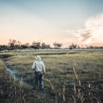 Safari guide walking through tall grass during sunset in the Okavango Delta.