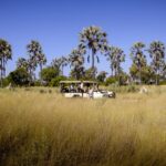 Game drive through the grasslands at Stanley's Camp
