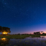 Sleep out experience at Tubu Tree