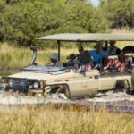 Letaka safari vehicles are adapted to navigate all types of terrain