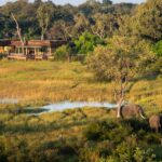 The Okavango waters around Vumbura