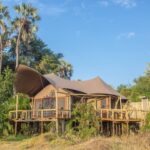 Jacana guest tent exterior with lala palm.