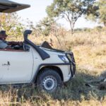 Stunning lion encounter while on a game drive at Sango Camp