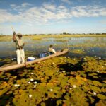 Letaka Safaris invite guests to do some birdwatching from the safety of a traditional Mokoro