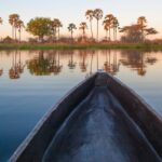 View from a mokoro canoe floating toward palm-lined islands in the Okavango Delta.