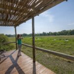 Enjoying the views from Sango Camp's hide