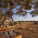 Tuludi Camp is located in the Khwai concession with vast plains' views