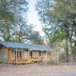 Safari tented suite surrounded by trees at Kwara Camp.