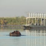Boating safari from Setari Camp approaches hippo sighting