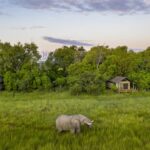 Little Sable elephant and guest tents aerial