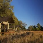 Little Sable Camp blends into the natural environment