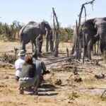 In close proximity to elephants on Elephant Pan walking safari