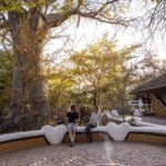 Planet Baobab's campfire and guest seating
