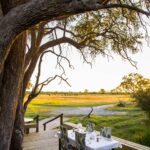 Surrounding view from dining table at Little Sable Camp