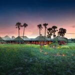 Jacks Camp luxury safari in the Kalahari