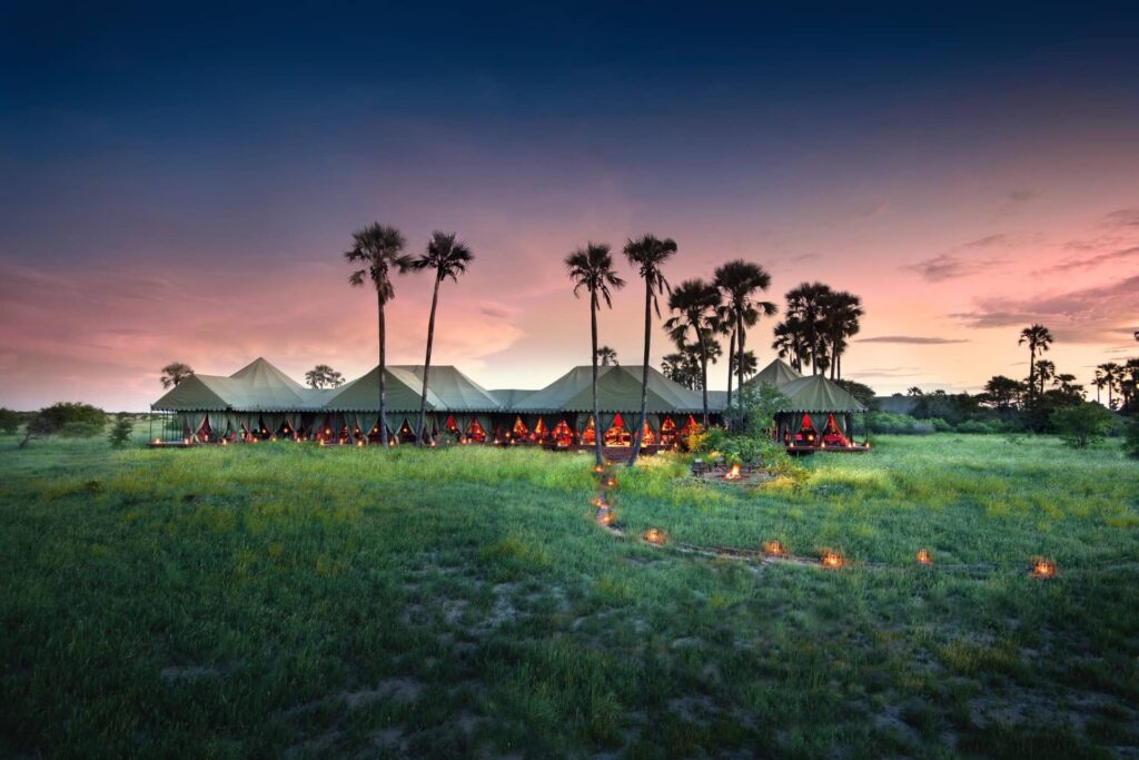 Jacks Camp luxury safari in the Kalahari
