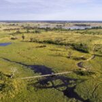 View of the stunning Okavango Delta from the air