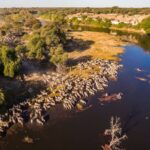 The Boteti River area is the transitional area between the Okavango Delta and the Kalahari Desert