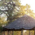 Planet Baobab chill out time at the swimming pool