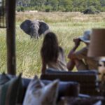 Sable Alley open air lounge guests viewing elephant close to lodge