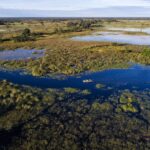 Okavango Mobile Expeditions Okavango boating in the Delta