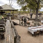 Elephants visit the dinner table at Hyena Pan