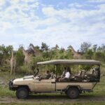 Exciting game drives from Savute Elephant Lodge reveal all sorts of surprises in the bush for avid safari goers