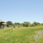 Bush Ways tents are set up in scenic spots where ever possible