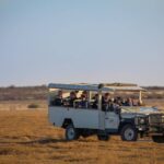 Custom built Bush Way vehicles offer excellent views for game viewing