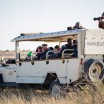 Bush Ways safaris have custom built game viewing vehicles