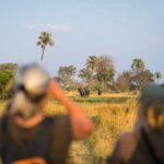 Walking safaris in the Okavango Delta with Bush Ways Safaris